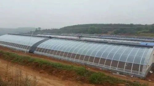永泰橢圓管大棚